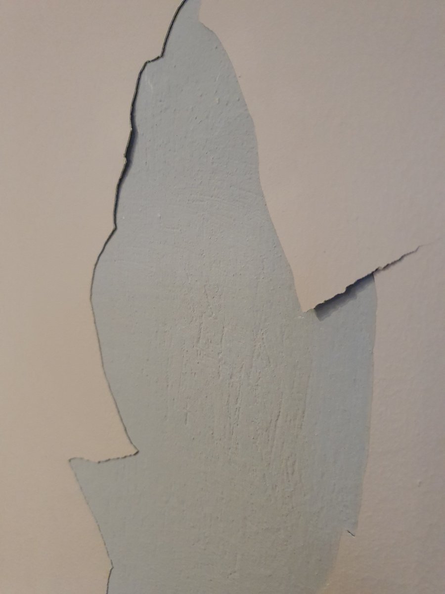 20230322_175911.jpg